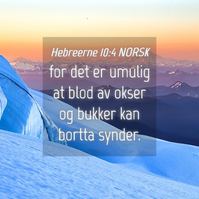 Picture 04 - Hebreerne 10:4 NORSK - for det er umulig at blod av okser og bukker kan - Bible Verse Picture