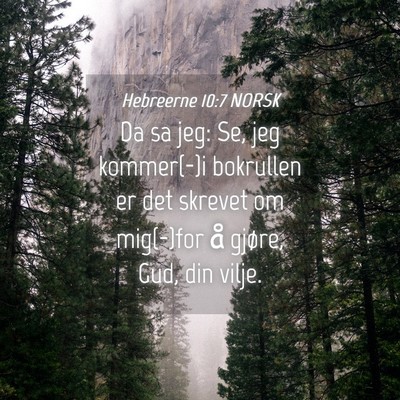 Picture 04 - Hebreerne 10:7 NORSK - Da sa jeg: Se, jeg kommer(-)i bokrullen er det - Bible Verse Picture