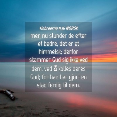 Picture 04 - Hebreerne 11:16 NORSK - men nu stunder de efter et bedre, det er et - Bible Verse Picture