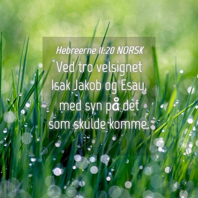 Picture 04 - Hebreerne 11:20 NORSK - Ved tro velsignet Isak Jakob og Esau, med syn på - Bible Verse Picture