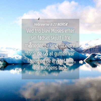 Picture 04 - Hebreerne 11:23 NORSK - Ved tro blev Moses efter sin fødsel skjult i tre - Bible Verse Picture