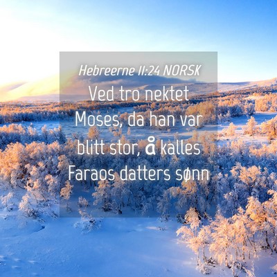 Picture 04 - Hebreerne 11:24 NORSK - Ved tro nektet Moses, da han var blitt stor, å - Bible Verse Picture