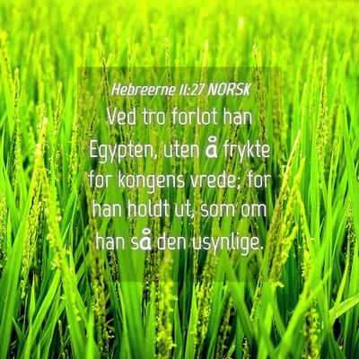 Picture 04 - Hebreerne 11:27 NORSK - Ved tro forlot han Egypten, uten å frykte for - Bible Verse Picture