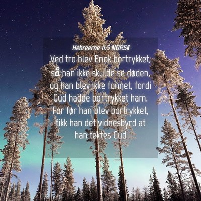 Picture 04 - Hebreerne 11:5 NORSK - Ved tro blev Enok bortrykket, så han ikke skulde - Bible Verse Picture