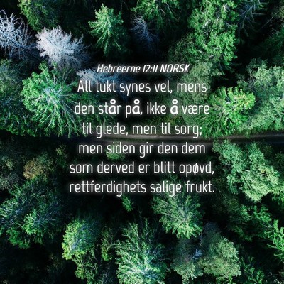 Picture 04 - Hebreerne 12:11 NORSK - All tukt synes vel, mens den står på, ikke å - Bible Verse Picture