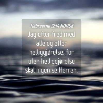 Picture 04 - Hebreerne 12:14 NORSK - Jag efter fred med alle og efter helliggjørelse; - Bible Verse Picture
