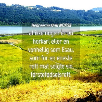Picture 04 - Hebreerne 12:16 NORSK - at ikke nogen er en horkarl eller en vanhellig - Bible Verse Picture