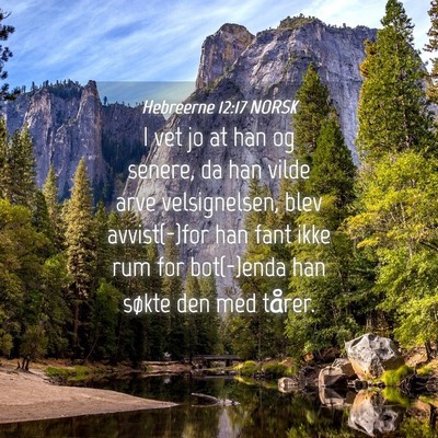 Picture 04 - Hebreerne 12:17 NORSK - I vet jo at han og senere, da han vilde arve - Bible Verse Picture