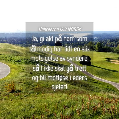 Picture 04 - Hebreerne 12:3 NORSK - Ja, gi akt på ham som tålmodig har lidt en slik - Bible Verse Picture