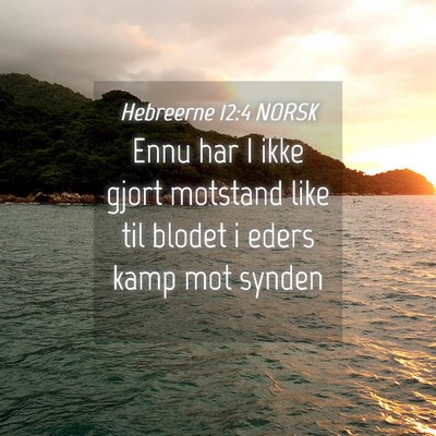 Picture 04 - Hebreerne 12:4 NORSK - Ennu har I ikke gjort motstand like til blodet i - Bible Verse Picture