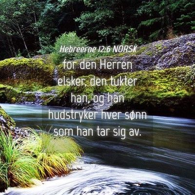 Picture 04 - Hebreerne 12:6 NORSK - for den Herren elsker, den tukter han, og han - Bible Verse Picture