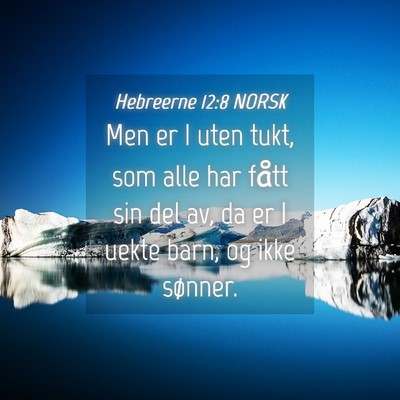 Picture 04 - Hebreerne 12:8 NORSK - Men er I uten tukt, som alle har fått sin del - Bible Verse Picture