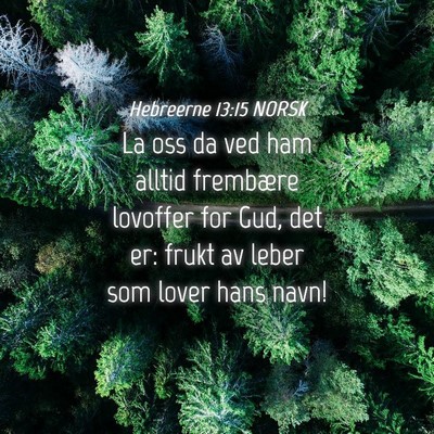 Picture 04 - Hebreerne 13:15 NORSK - La oss da ved ham alltid frembære lovoffer for - Bible Verse Picture