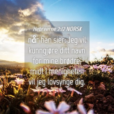 Picture 04 - Hebreerne 2:12 NORSK - når han sier: Jeg vil kunngjøre ditt navn for - Bible Verse Picture