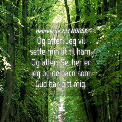 Picture 04 - Hebreerne 2:13 NORSK - Og atter: Jeg vil sette min lit til ham. Og - Bible Verse Picture