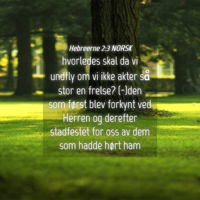 Picture 04 - Hebreerne 2:3 NORSK - hvorledes skal da vi undfly om vi ikke akter så - Bible Verse Picture