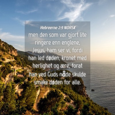 Picture 04 - Hebreerne 2:9 NORSK - men den som var gjort lite ringere enn englene, - Bible Verse Picture