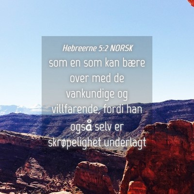 Picture 04 - Hebreerne 5:2 NORSK - som en som kan bære over med de vankundige og - Bible Verse Picture
