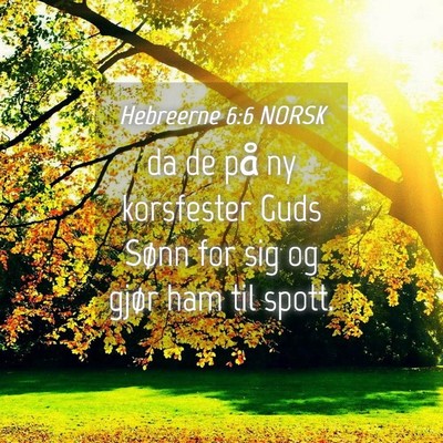 Picture 04 - Hebreerne 6:6 NORSK - da de på ny korsfester Guds Sønn for sig og - Bible Verse Picture