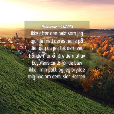 Picture 04 - Hebreerne 8:9 NORSK - ikke efter den pakt som jeg gjorde med deres - Bible Verse Picture