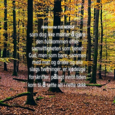 Picture 04 - Hebreerne 9:10 NORSK - som dog ikke makter å gjøre den fullkommen - Bible Verse Picture