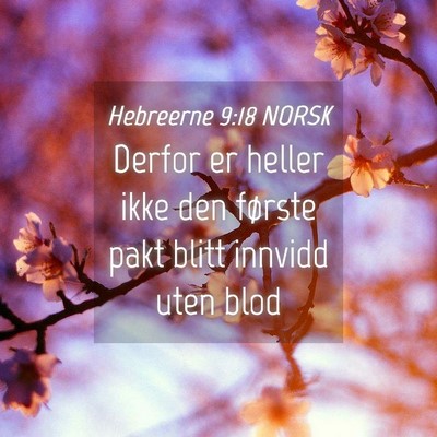 Picture 04 - Hebreerne 9:18 NORSK - Derfor er heller ikke den første pakt blitt - Bible Verse Picture