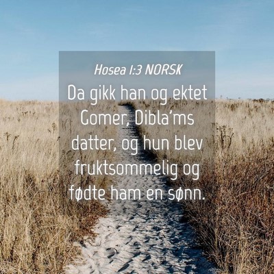 Picture 04 - Hosea 1:3 NORSK - Da gikk han og ektet Gomer, Dibla'ms datter, og - Bible Verse Picture