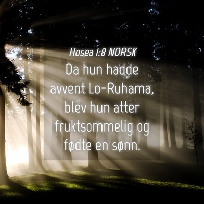 Picture 04 - Hosea 1:8 NORSK - Da hun hadde avvent Lo-Ruhama, blev hun atter - Bible Verse Picture