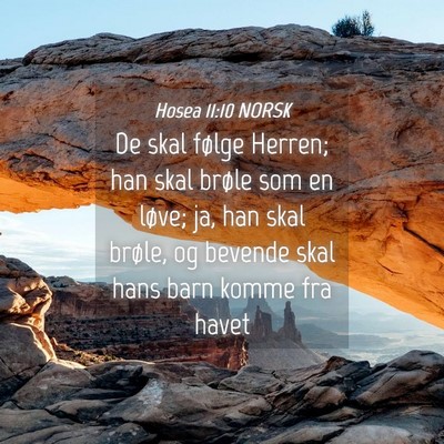 Picture 04 - Hosea 11:10 NORSK - De skal følge Herren; han skal brøle som en - Bible Verse Picture