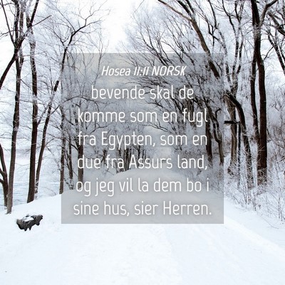 Picture 04 - Hosea 11:11 NORSK - bevende skal de komme som en fugl fra Egypten, - Bible Verse Picture