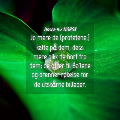 Picture 04 - Hosea 11:2 NORSK - Jo mere de {profetene.} kalte på dem, dess mere - Bible Verse Picture
