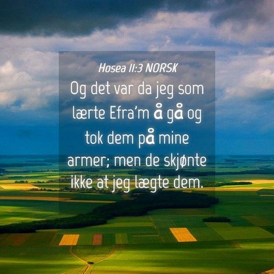 Picture 04 - Hosea 11:3 NORSK - Og det var da jeg som lærte Efra'm å gå og tok - Bible Verse Picture