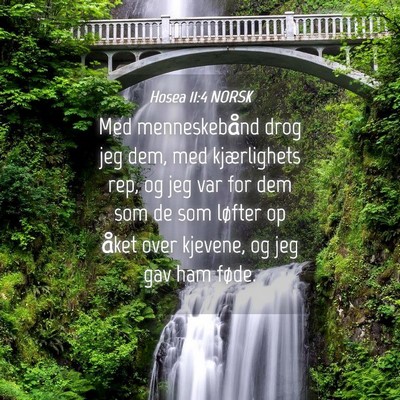 Picture 04 - Hosea 11:4 NORSK - Med menneskebånd drog jeg dem, med kjærlighets - Bible Verse Picture