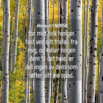 Picture 04 - Hosea 11:7 NORSK - for mitt folk henger fast ved sitt frafall fra - Bible Verse Picture