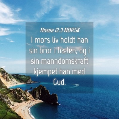 Picture 04 - Hosea 12:3 NORSK - I mors liv holdt han sin bror i hælen, og i sin - Bible Verse Picture
