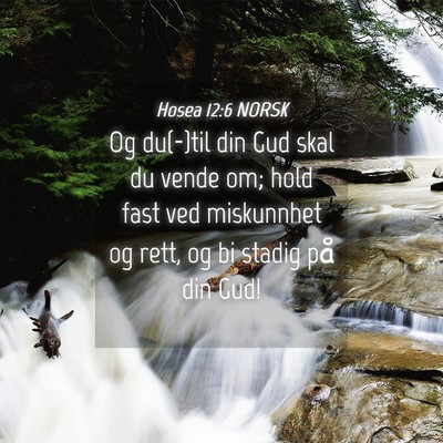 Picture 04 - Hosea 12:6 NORSK - Og du(-)til din Gud skal du vende om; hold fast - Bible Verse Picture