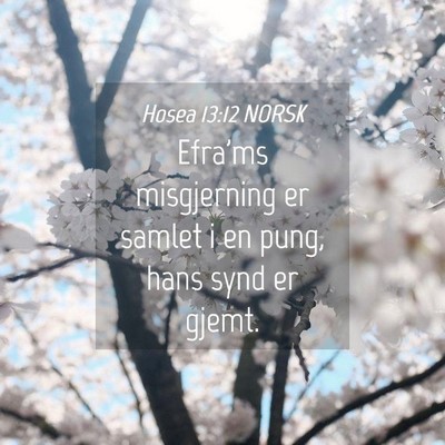 Picture 04 - Hosea 13:12 NORSK - Efra'ms misgjerning er samlet i en pung, hans - Bible Verse Picture