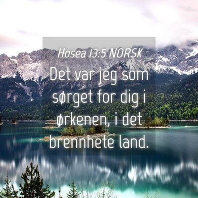 Picture 04 - Hosea 13:5 NORSK - Det var jeg som sørget for dig i ørkenen, i det - Bible Verse Picture