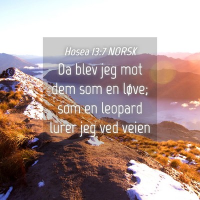 Picture 04 - Hosea 13:7 NORSK - Da blev jeg mot dem som en løve; som en leopard - Bible Verse Picture