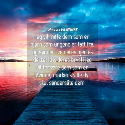 Picture 04 - Hosea 13:8 NORSK - jeg vil møte dem som en bjørn som ungene er - Bible Verse Picture