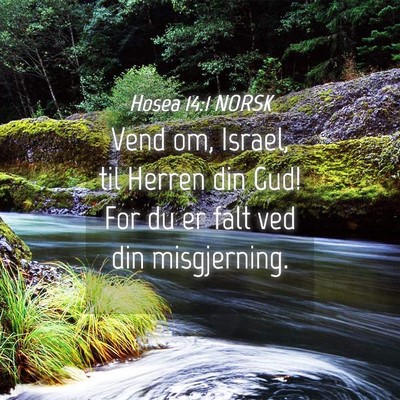 Picture 04 - Hosea 14:1 NORSK - Vend om, Israel, til Herren din Gud! For du er - Bible Verse Picture
