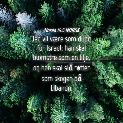 Picture 04 - Hosea 14:5 NORSK - Jeg vil være som dugg for Israel; han skal - Bible Verse Picture