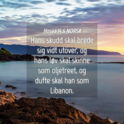 Picture 04 - Hosea 14:6 NORSK - Hans skudd skal brede sig vidt utover, og hans - Bible Verse Picture
