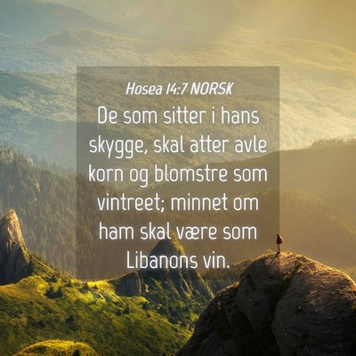 Picture 04 - Hosea 14:7 NORSK - De som sitter i hans skygge, skal atter avle korn - Bible Verse Picture