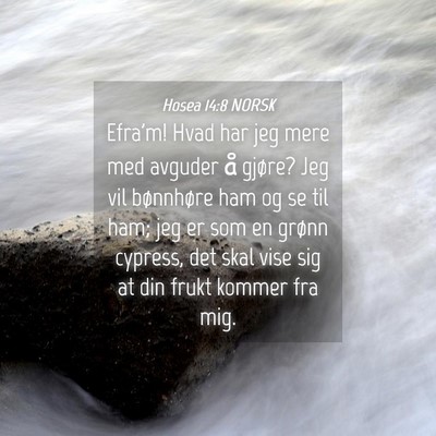 Picture 04 - Hosea 14:8 NORSK - Efra'm! Hvad har jeg mere med avguder å gjøre? - Bible Verse Picture