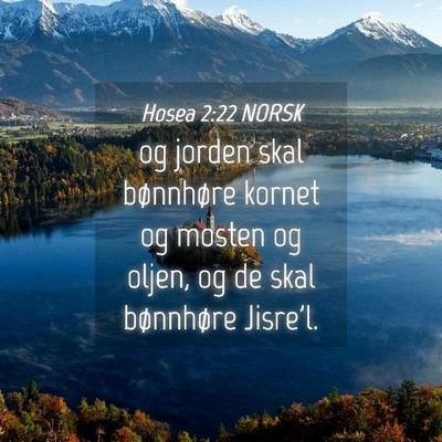 Picture 04 - Hosea 2:22 NORSK - og jorden skal bønnhøre kornet og mosten og - Bible Verse Picture