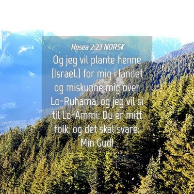 Picture 04 - Hosea 2:23 NORSK - Og jeg vil plante henne {Israel.} for mig i - Bible Verse Picture
