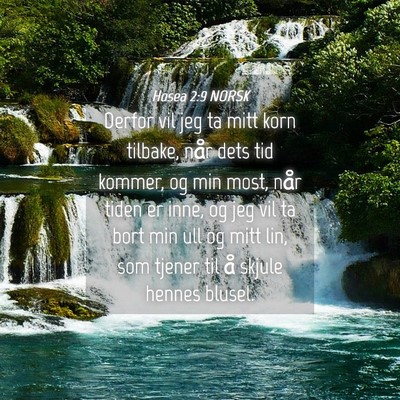 Picture 04 - Hosea 2:9 NORSK - Derfor vil jeg ta mitt korn tilbake, når dets - Bible Verse Picture