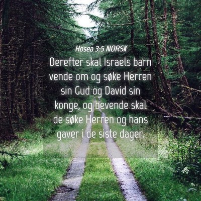 Picture 04 - Hosea 3:5 NORSK - Derefter skal Israels barn vende om og søke - Bible Verse Picture