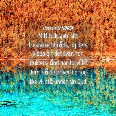 Picture 04 - Hosea 4:12 NORSK - Mitt folk spør sitt trestykke til råds, og dets - Bible Verse Picture